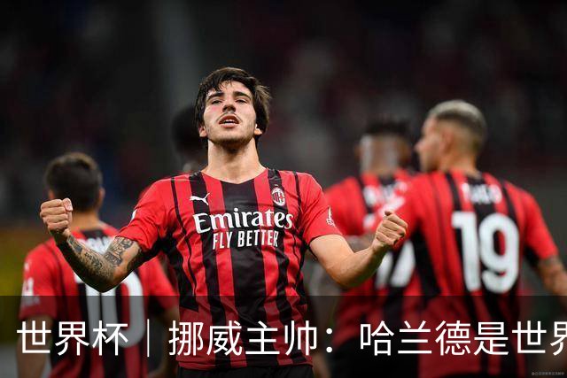 世界杯｜挪威主帅：哈兰德是世界上最好的射手
