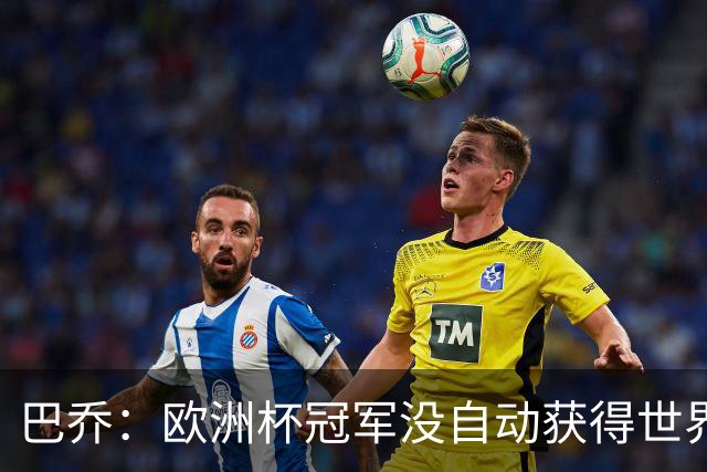 巴乔：欧洲杯冠军没自动获得世界杯资格 这是耻辱